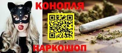 круглые Кингисепп
