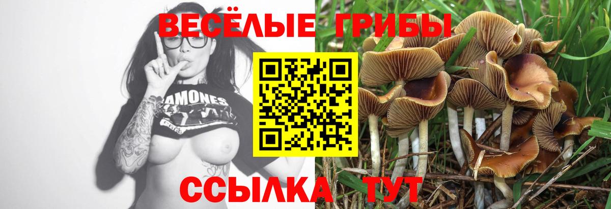 Конопля Киров