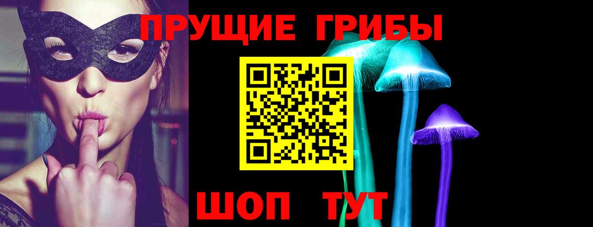 Киров  Псилоцибиновые грибы Cubensis  Вход с VPN 